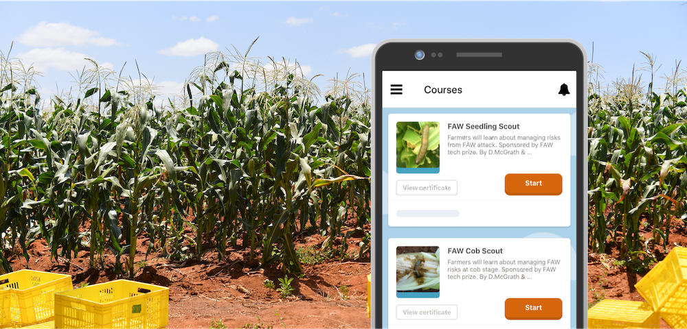 Get free Fall Armyworm mobile training for your farmers